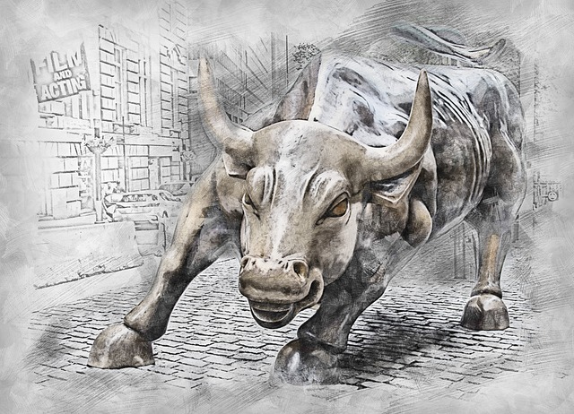 bull run